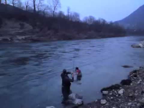 Vadjenje mladice iz Drine