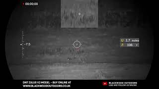 Long Range DNT Zulus V2 Rabbit Action 🔥