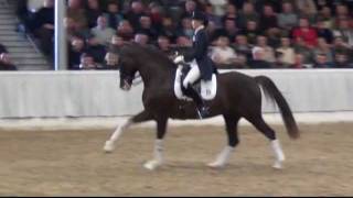 Video of Callaho's Benicio