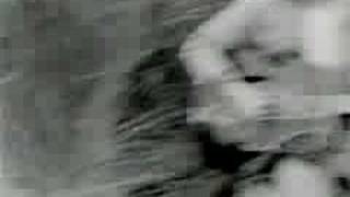 That Petrol Emotion - Cellophane (Promo)