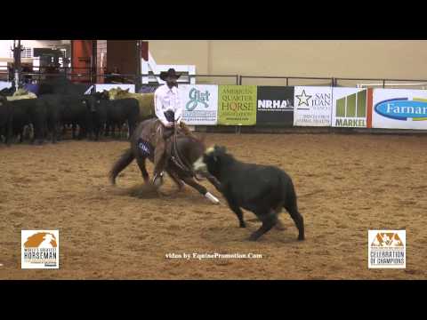 SDP Blue Blood ridden by Matt Koch - 2015 NRCHA Celebration of Champions (FINALS, Herd - WGH)