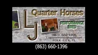 preview picture of video 'LJ Quarter Horses - Polk City Florida'
