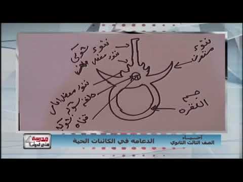 أحياء 3 ثانوي ( رسم الفقرة العظمية )