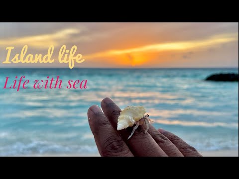 Island life, part 3, life with sea, Maldives