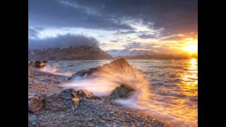 Maná Arde el cielo (wild life)