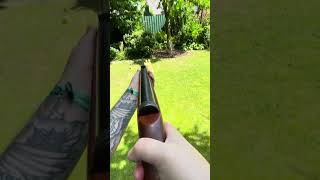 BSF S60 Airrifle POV shooting #gun #shooting #weapon #airgun #fun #hobby #wow #shorts