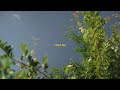Jet Trouble - I Need You (Lyric Video)