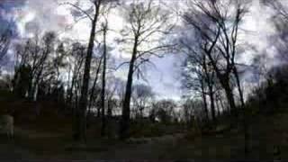 Reading Eagle: Spring