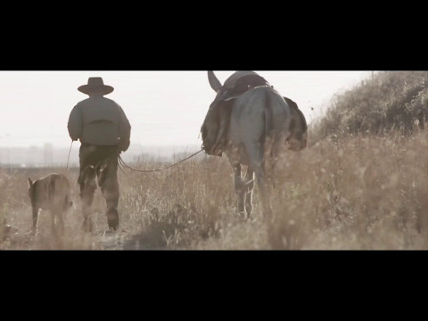 afbeelding Donkeyote