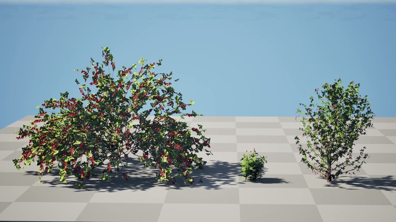 Japanese Garden Plants 03 3D Model