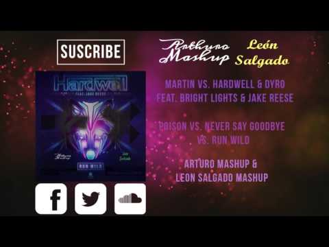 Poison vs. Never Say Goodbye vs. Run Wild (Arturo Mashup & León Salgado Mashup)