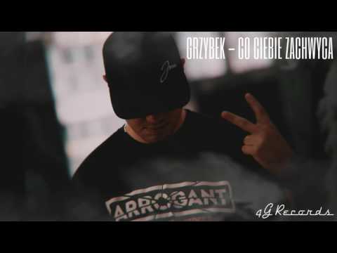 GRZYBEK LOGO DZIELNICY -  CO CIEBIE ZACHWYCA