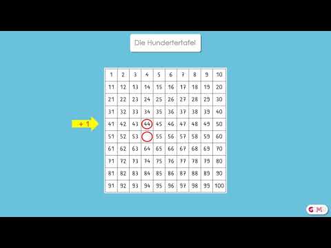 Die Hundertertafel - Teil 2 - Training, Klasse  2