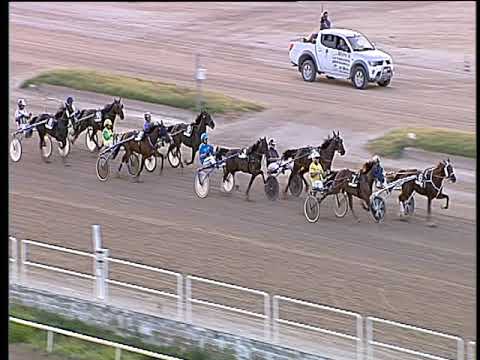 Trotto 06/07/2019 - 2ª corsa