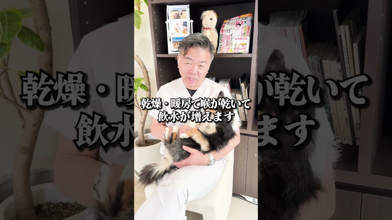 急にトイレの回数が増えた なんで？#shorts