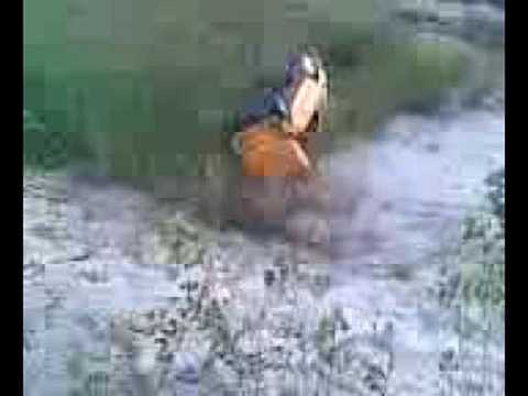 Maluch Fiat 126p BIG CRASH!!!