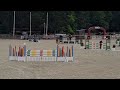 Vends cheval de sport de 8 ans