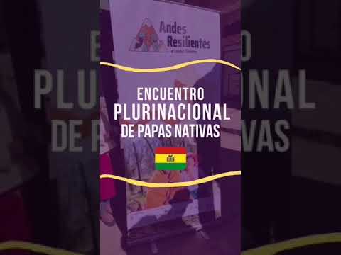 Encuentro Plurinacional de Papas Nativas, en la provincia de Camacho, La  Paz en Bolivia.