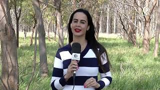 Miniatura do vídeo
