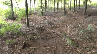 Part 3 (HD): Band of Brothers E Co foxholes return visit, Bastogne, Belgium