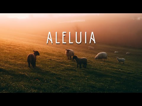 Tavi Colu - Aleluia