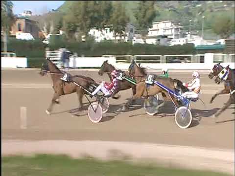 Trotto 16/02/2018 - 1ª corsa