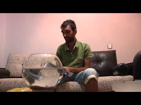 Reyhis  - Yağmur (Video Klip)