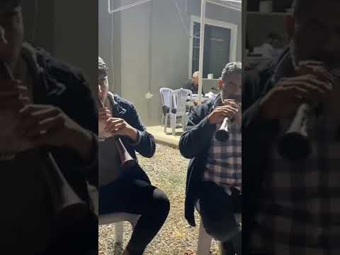 bana sor davul zurna uzun versiyon yeni #keşfet #ferditayfur #youtubeshorts #youtube #tiktok #adana