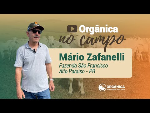 Orgânica no Campo - Mário Zafanelli - Alto Paraíso - PR