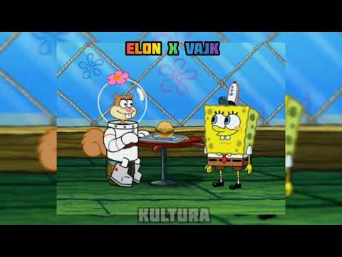 Elon x Vajk - Sundjer Dejan 2