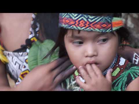 Huni Kuin Bari Siri Ka Siriani Ayani Kaxinawa Icaros 0+