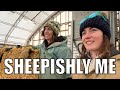 Sheepishly Me - Tara’s Version! Sheep Farm Vlog