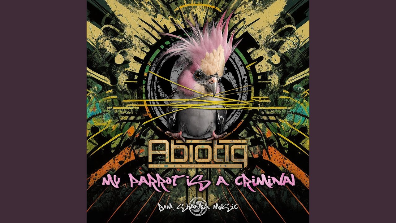 My parrot is a criminal (Original mix)