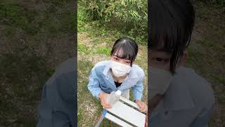 左下に注目 #shorts #shortsfeed #youtubeshorts #tiktok #short