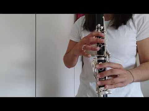 Harry Potter tema på klarinet!