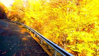 HELENE FISCHER - MAL GANZ EHRLICH