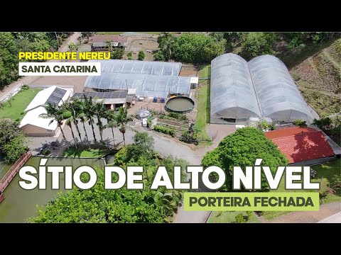 🏡 SÍTIO DE ALTO NÍVEL: Conforto e Lucratividade em Presidente Nereu/SC! 🐟