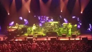 Phish 7/19/16  wombat