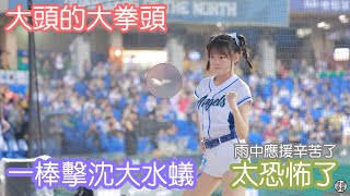 一棒擊沈大水蟻 蟲蟲太恐怖了