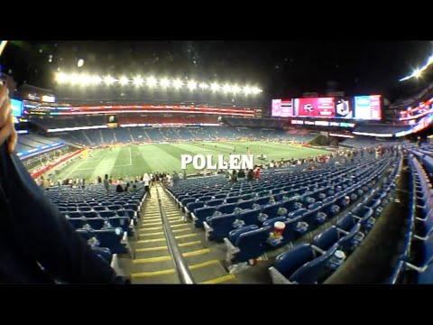 preview image for POLLEN