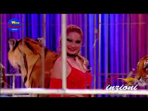 Tigri Carmen Zander 3