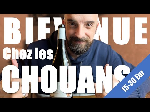 Un vin bio de Vendée : Le Poiré 2018 du Domaine Saint-Nicolas