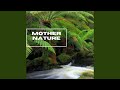 Nature Sounds For Meditation