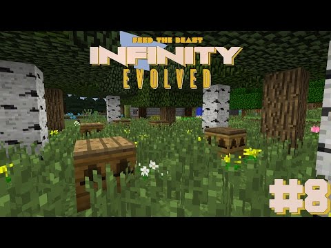 FTB: Infinity Evolved #9| Forestry Bees and Trees! - Modded Minecraft