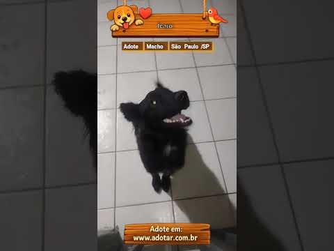 Vídeo de Ícaro