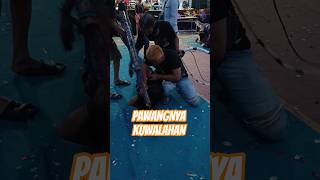 Download lagu PAWANGNYA KUWALAHAN #kesurupan #jaranan #jarankepang #kudalumping #reog mp3