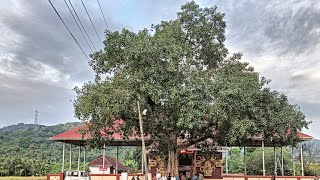 Uthralikkavu Bhagavathi Temple Thrissur,Kerala.