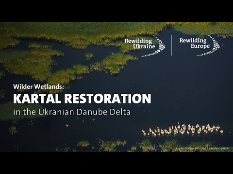 Rewilding Europe and Rewilding Danube Delta
