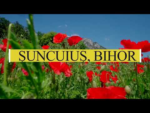 Ce poti vizita in Suncuius? | Filmare cu drona