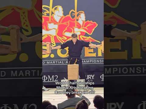 World Championship Round | Martial Arts Power Arm Wood Breaking Competition #karate #martialarts